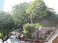Hong Kong Tour